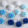 25m Tissue Paper Pom Pom Flower Garland 1
