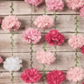 25m Tissue Paper Pom Pom Flower Garland 4