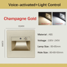 LED Motion Sensor Stair Light  Recessed VoiceActivated Wall Lamp 1
