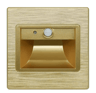 LED PIR Motion Sensor Stair Light  Recessed Smart Indoor Wall Lamp 15