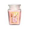18oz Aroma Scented Candle Gift Luxury Scented Candle For Women Relaxing Home Fragrance 6
