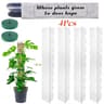 Moss Pole For Plants Indoor Climbing Plant Support Pole Adjustable Moss Stick 2