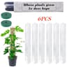 Moss Pole For Plants Indoor Climbing Plant Support Pole Adjustable Moss Stick 3