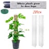 Moss Pole For Plants Indoor Climbing Plant Support Pole Adjustable Moss Stick 1