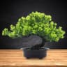 Artificial Bonsai Tree Japanese Pine Mini Plant Decor For Desk And Home 7