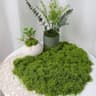 Artificial Moss Decor Faux Preserved Green Moss For DIY Crafts And Home Styling 5