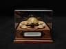 Real Crab Specimen Display Taxidermy Marine Collectible Home Decor 0