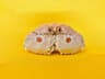 Real Crab Specimen Display Taxidermy Marine Collectible Home Decor 21