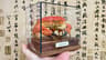 Real Crab Specimen Display Taxidermy Marine Collectible Home Decor 26