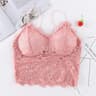 Lace Crop Top Sleeveless Sexy Bralette Summer Tank With Zipper Back 6