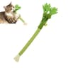 Realistic Celery Catnip Chew Toy For Dental Care Kicking And Indoor Play 1