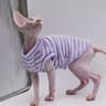 DUOMASUMI Summer Sphynx Cat Vest Stretch Cotton Cooling Top For Hairless Cats Daily Comfort Wear 0