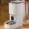 Automatic Cat Feeder 4L Smart Pet Food Dispenser For Cats And Dogs 1