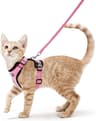 Escape Proof Cat Harness And Leash Soft Adjustable Reflective Vest For Safe Outdoor Walking 8