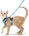 Escape Proof Cat Harness And Leash Soft Adjustable Reflective Vest For Safe Outdoor Walking 9