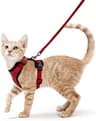 Escape Proof Cat Harness And Leash Soft Adjustable Reflective Vest For Safe Outdoor Walking 6