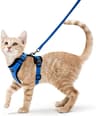 Escape Proof Cat Harness And Leash Soft Adjustable Reflective Vest For Safe Outdoor Walking 7