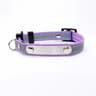 Custom Personalized Reflective Cat Collar Engraved Pet ID Tag For Kittens Puppies And Small Dogs 1