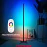 Smart RGBIC Floor Lamp With Tuya App Remote And Music Sync 2