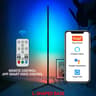 Smart RGBIC Floor Lamp With Tuya App Remote And Music Sync 3