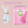 Personalized Minky Baby Blanket And Bunny Comforter Set 6