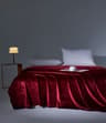 Soft Velvet Throw Blanket Lightweight Travel And Nap Blanket 7