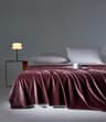 Soft Velvet Throw Blanket Lightweight Travel And Nap Blanket 10