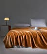 Soft Velvet Throw Blanket Lightweight Travel And Nap Blanket 9