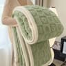 Taffeta Velvet Carved Blanket Thick DoubleSided Plush Throw 4