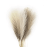 Boho Artificial Pampas Grass Decor Set For Elegant Home  Event Styling 8