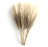 Boho Artificial Pampas Grass Decor Set For Elegant Home  Event Styling 6