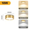 Modern LED Ceiling Spotlight 15W 25W Tricolor Surface Mount Downlight Kitchen Entrance Lamp 7
