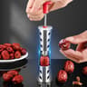 304 Stainless Steel Fruit Pitter and Jujube Corer Push-Type Seed Remover