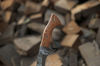 14-Inch-Damascus-Camping-Knife-Forged-for-Exploration-Kukri-Hunting-Knife-Genuine-Damascus-Craftsman (2).jpeg