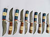 Premium-Skinner-Set 10-Handcrafted-Damascus-Steel-Hunting-Knives-with-6-inch-Blades-BladeMaster (2).png
