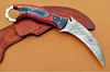 BM's-Full-Tang-Damascus-Karambit-with-Exotic-Wood-Handle-Damascus-Karambit-Knife-BladeMaster (5).jpg