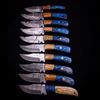 BM-Damascus-Hunting-Knives-Set-10-Handmade-8-Skinner-Blades-with-Sheath-Exceptional-Quality-for-Outdoor-Enthusiast (4).jpg