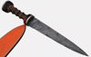 Hand-Forged_Damascus_Steel_Gladiator_Sword_Authentic_Combat_Blade (5).jpg