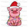 Pig, Animal Christmas Sublimation png, Merry Christmas png.jpg
