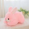 variant-image-color-pink-rabbit-5.jpeg