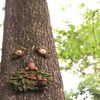 treefacebirdfeeder2.png