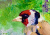 goldfinch-canvas-wal-art-original-painting