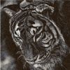 tiger-photo stitch-machine-embroidery-design.png