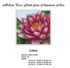 LotusPillow-2.jpg