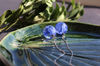 Blue cornflower earrings 9.JPG