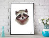 Raccoon-head-clipart-png-picture