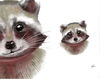 Raccoon-head-clipart-large-picture