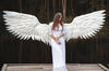 large angel wings 3.jpg