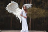 large angel wings 1.jpg