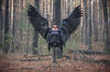 large angel wings 12.jpg